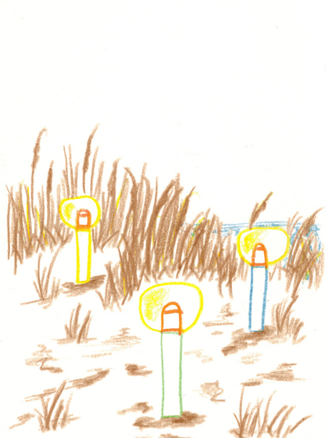 Run Design