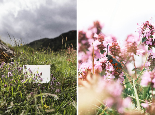 Run Design